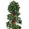 5.5ft. Potted English Ivy Spiral Topiary Tree